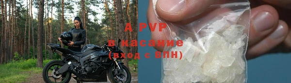 прущие грибы Бронницы
