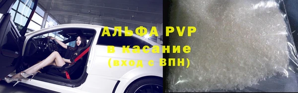 прущие грибы Бронницы