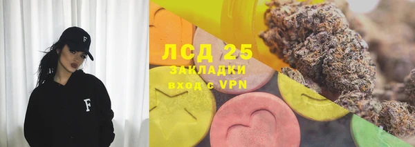 прущие грибы Бронницы