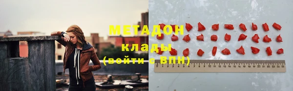 прущие грибы Бронницы