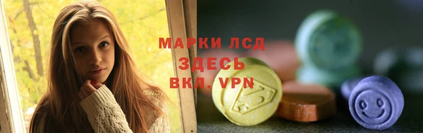 прущие грибы Бронницы
