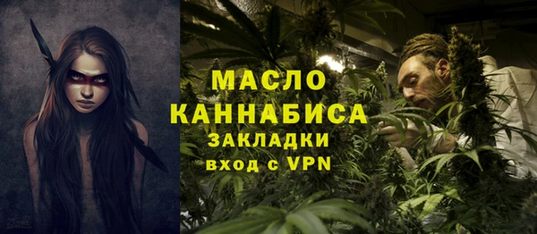 спиды Бородино