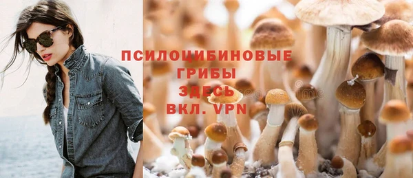 прущие грибы Бронницы
